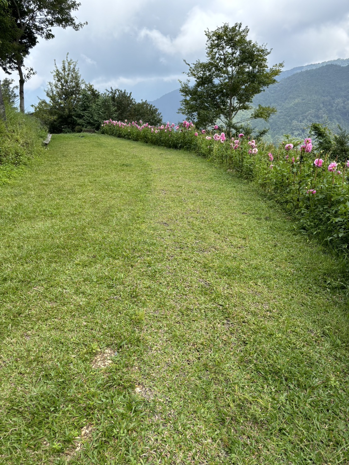 加草花園山莊4