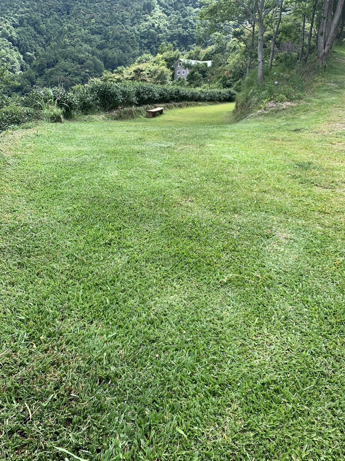 加草花園山莊7