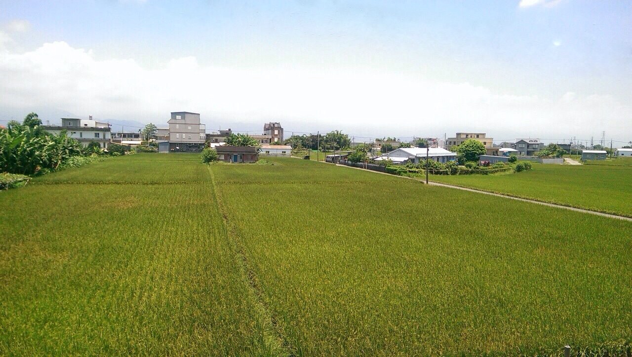 青田日光民宿3