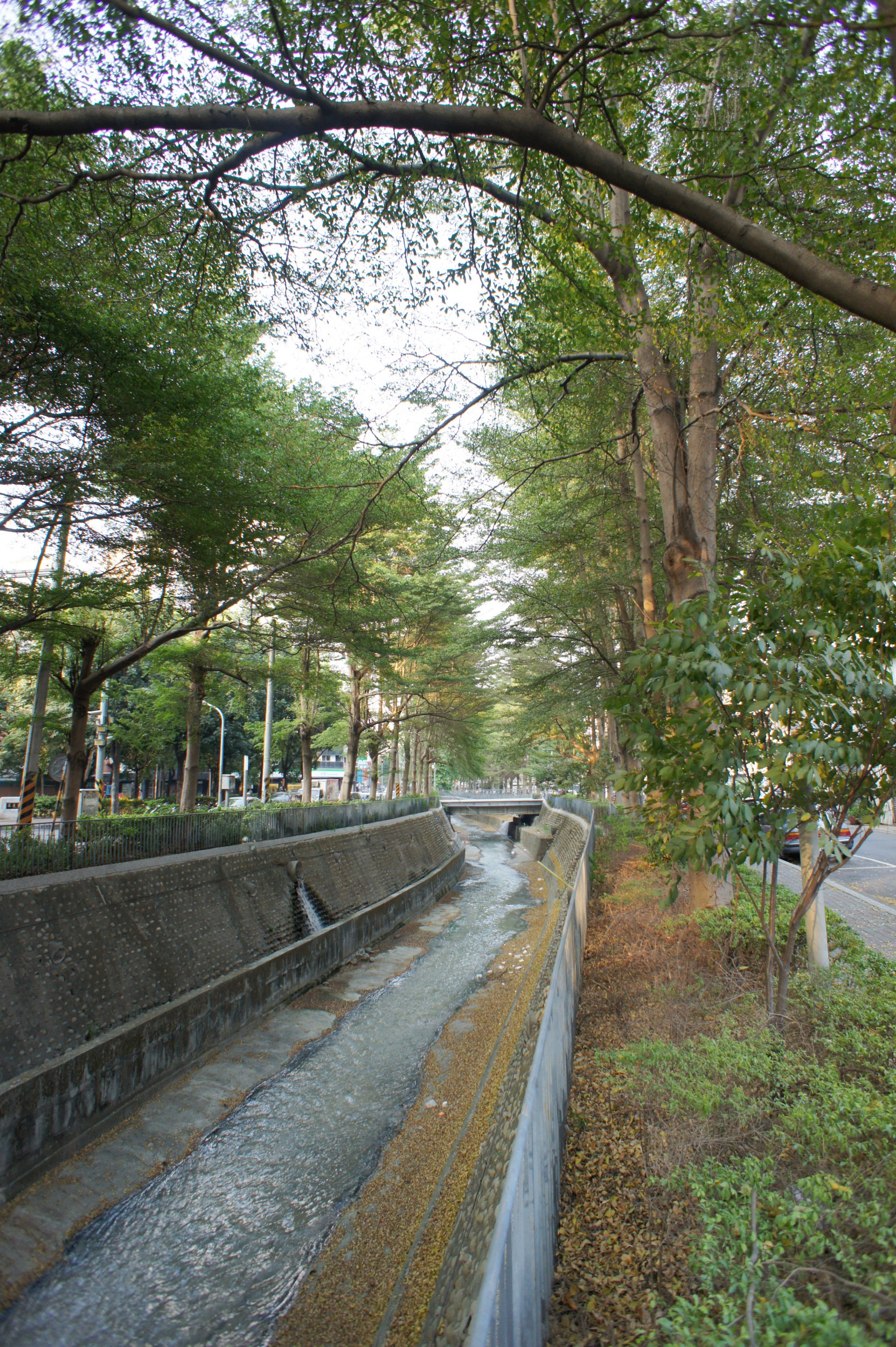葉綠宿旅館10