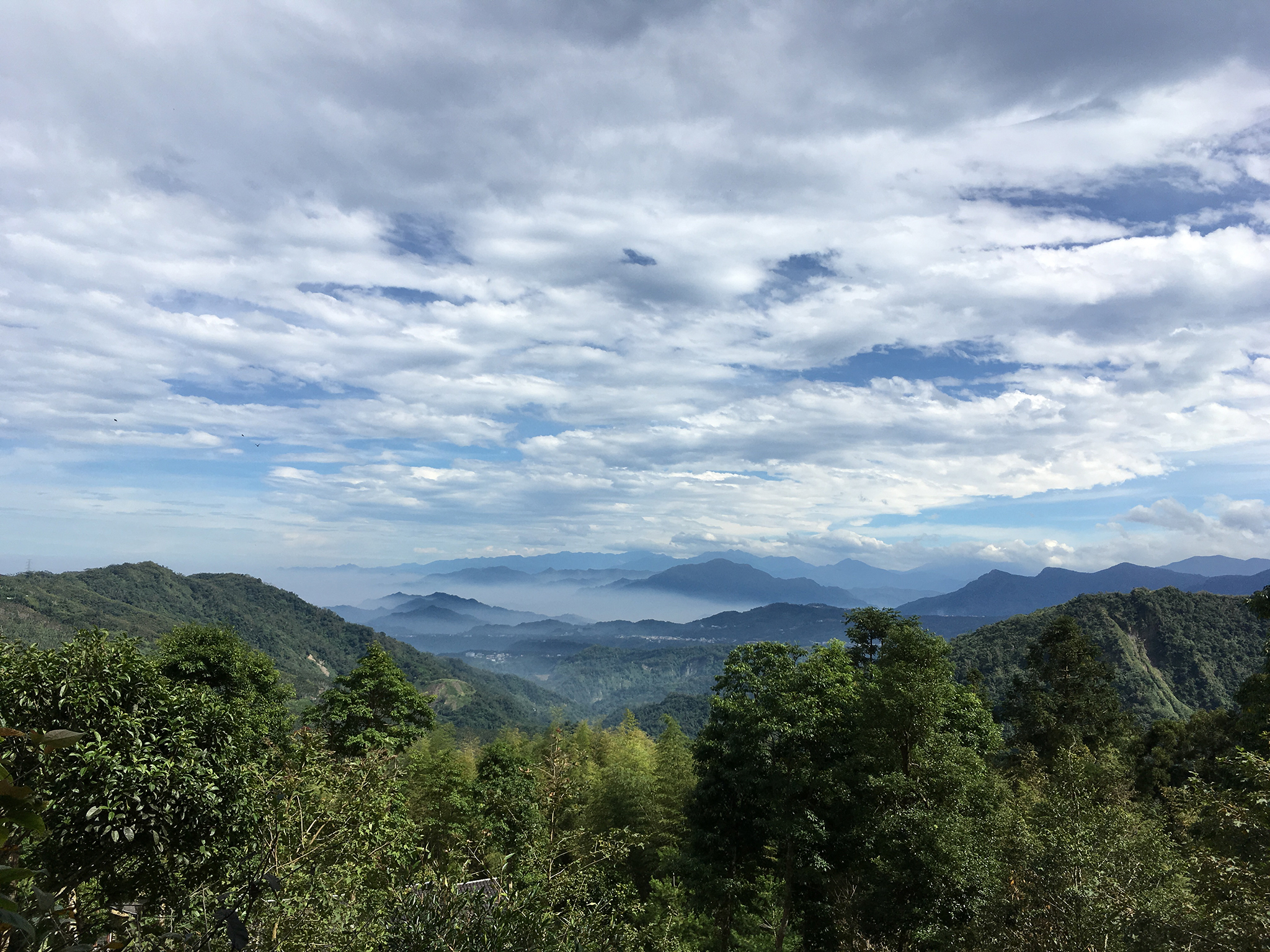 茶屋遠眺 Tea House Look-out