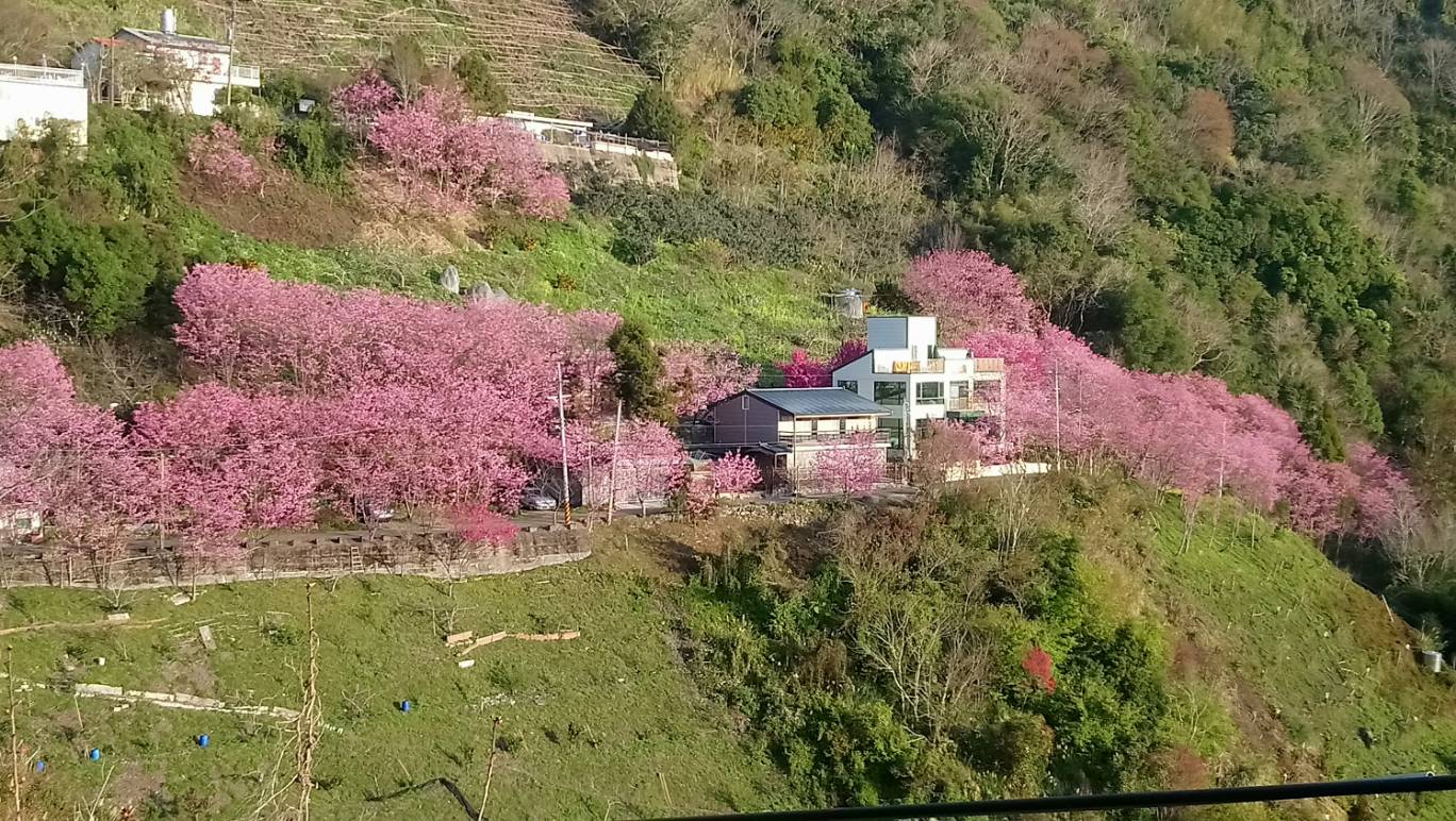 二馬山莊8
