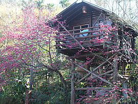 賴坤陽的家民宿1