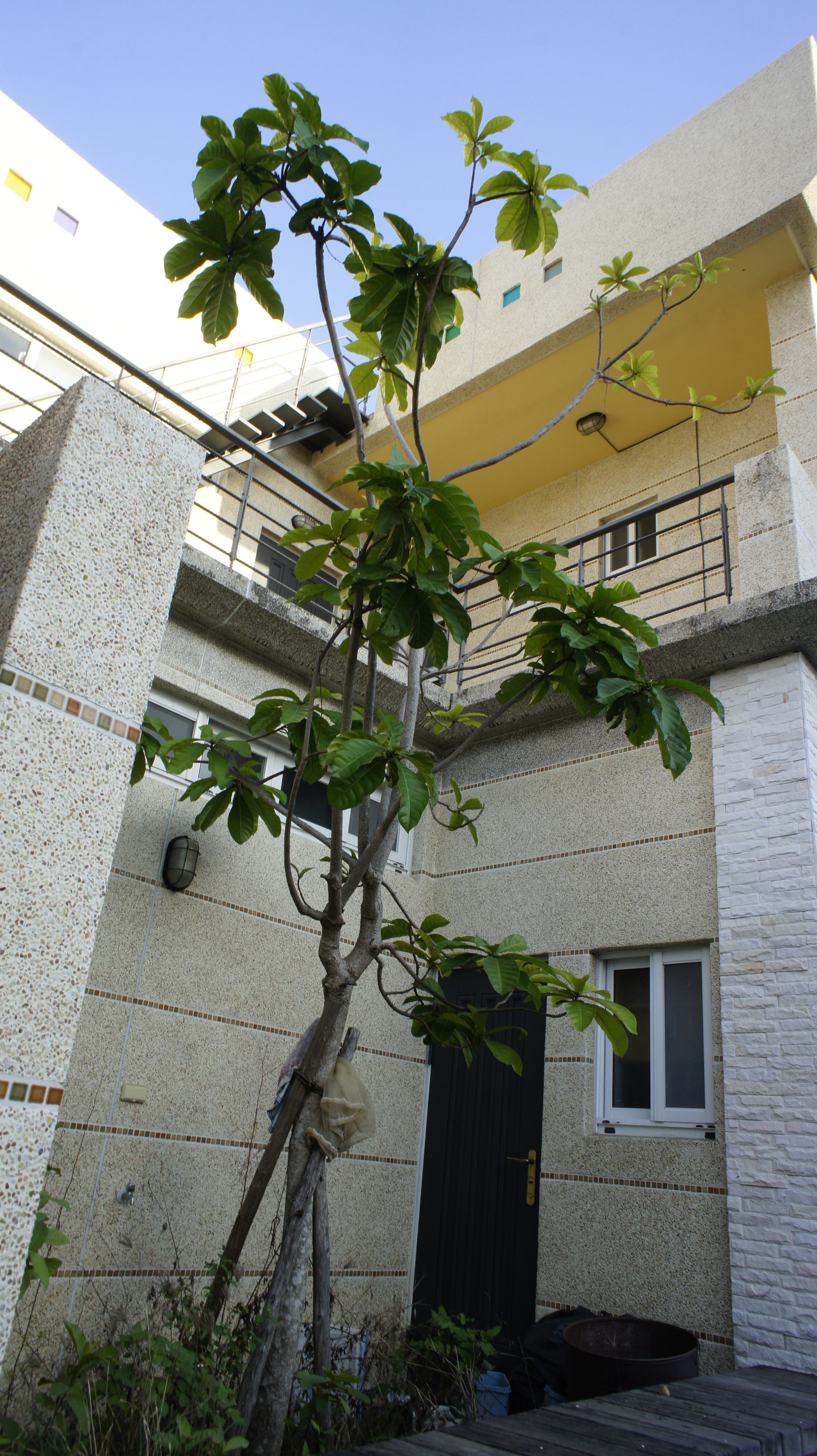 魚雅築渡假民宿5