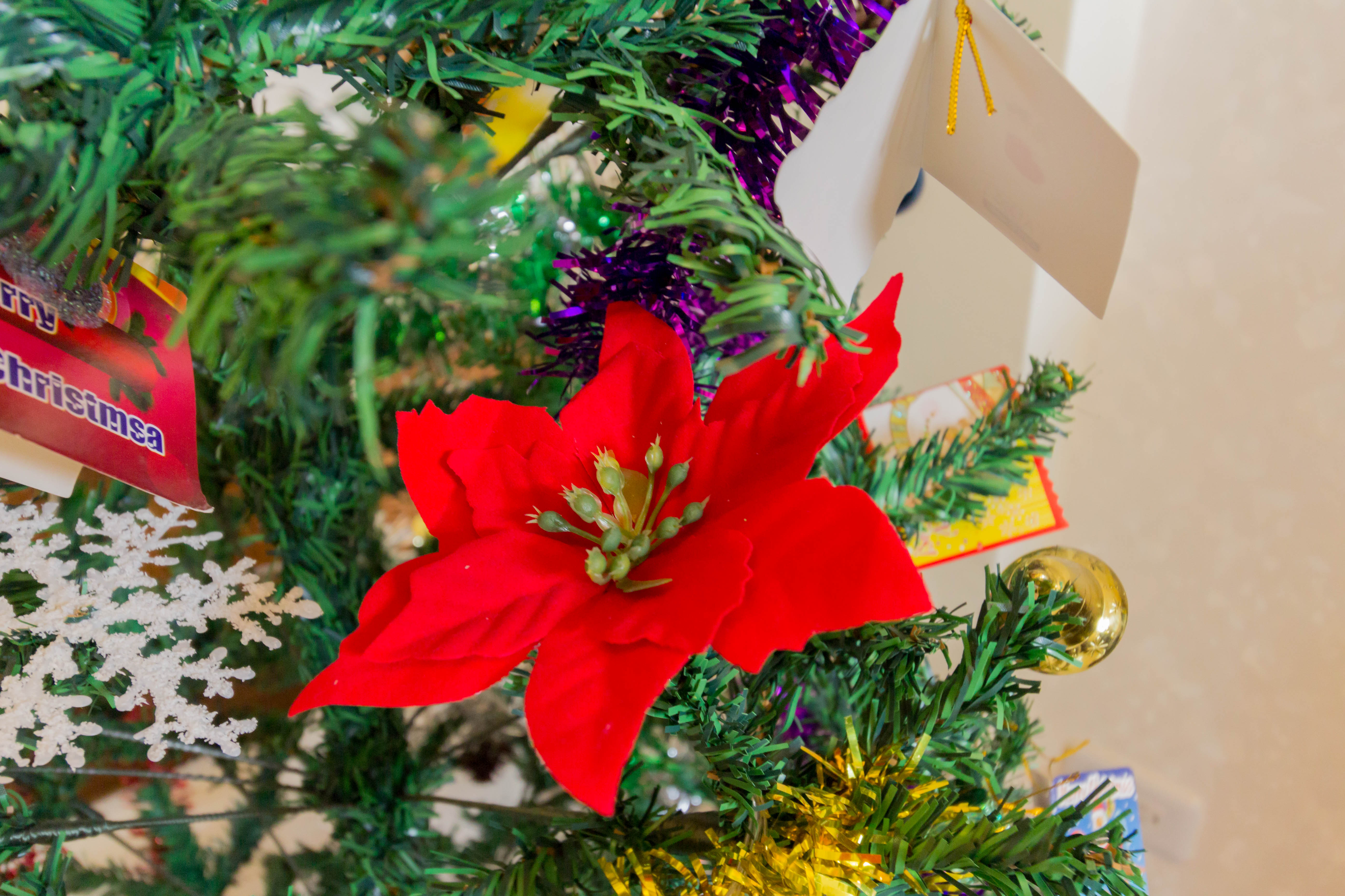 Ｄ３經典民宿-129