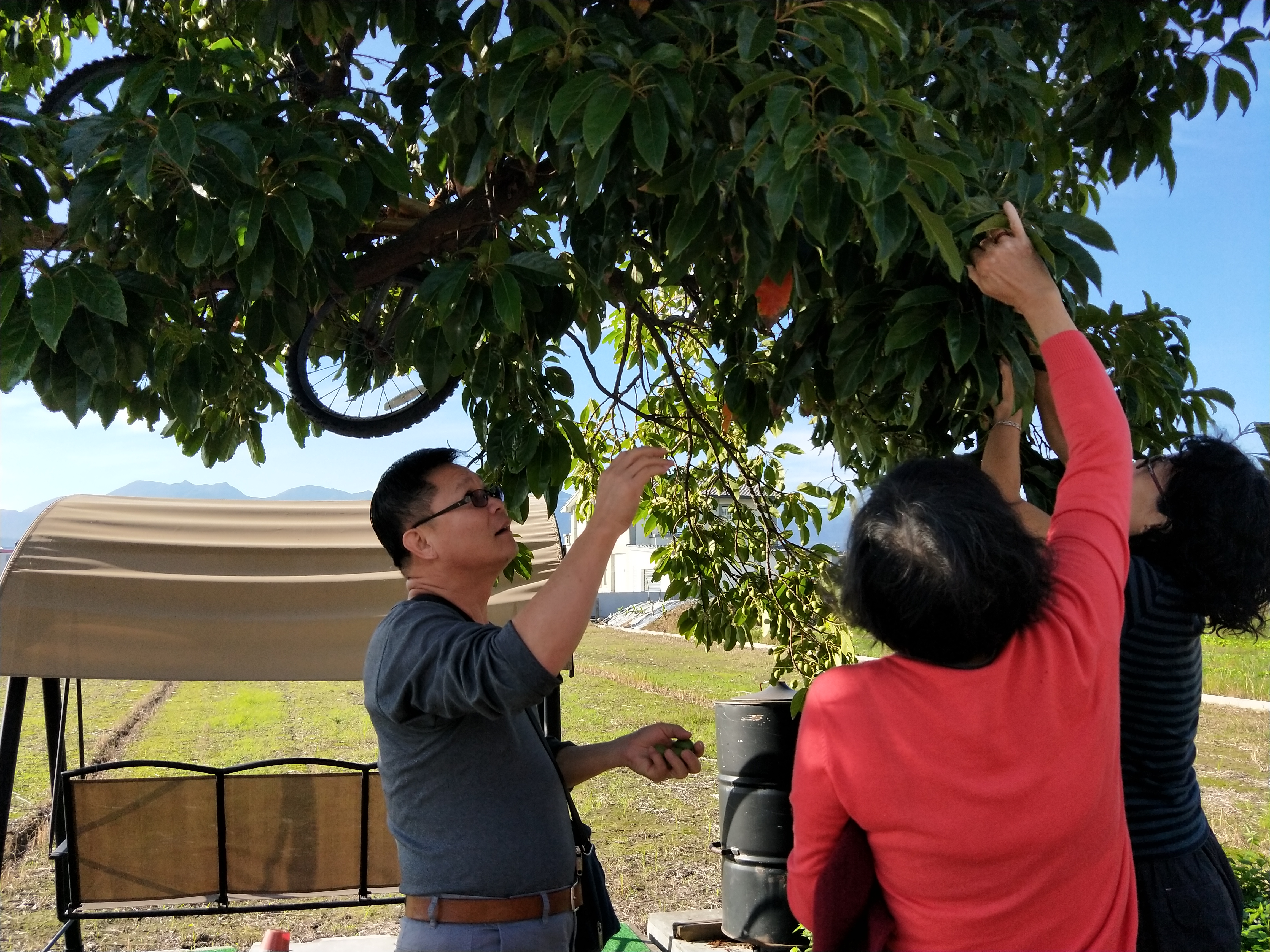 Ｄ３經典民宿-131