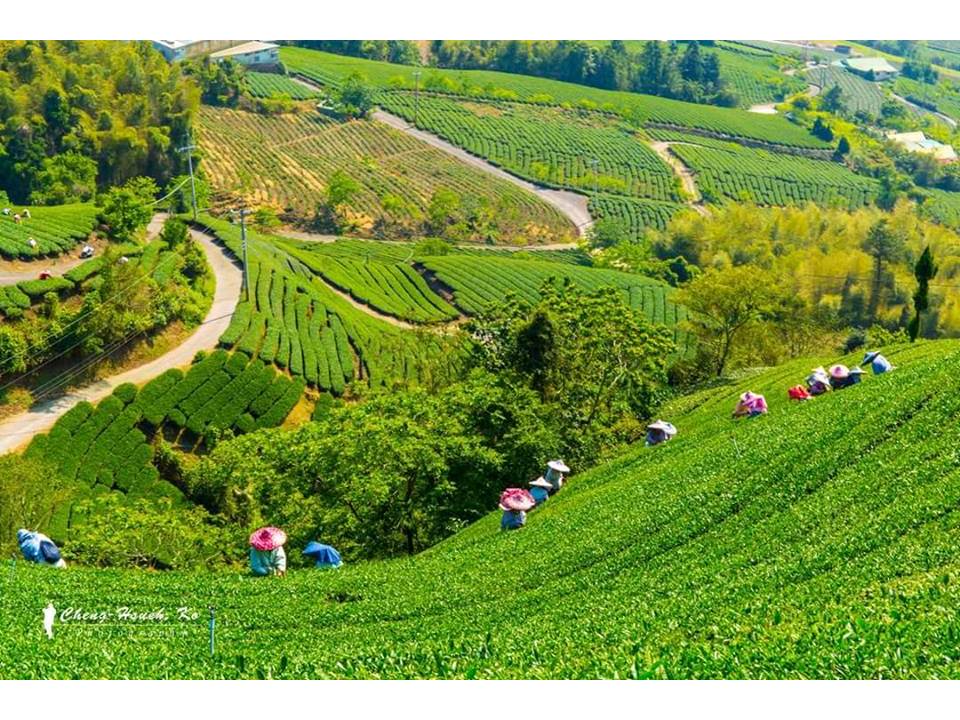 賴坤陽的家民宿4