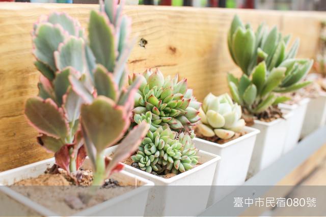 踢生活背包客棧34