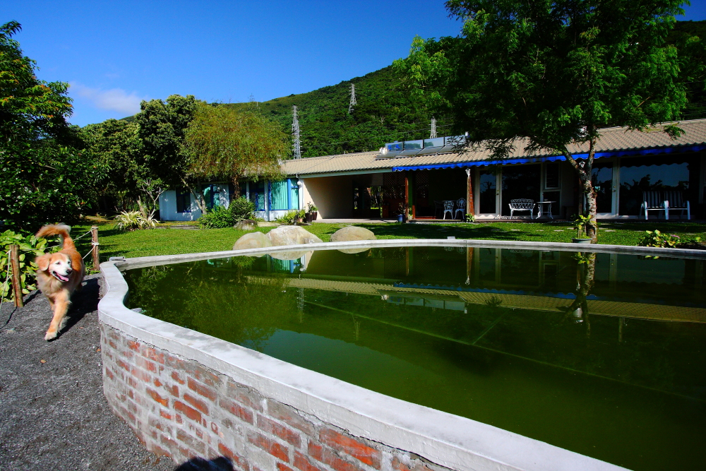 白陽山莊民宿-1