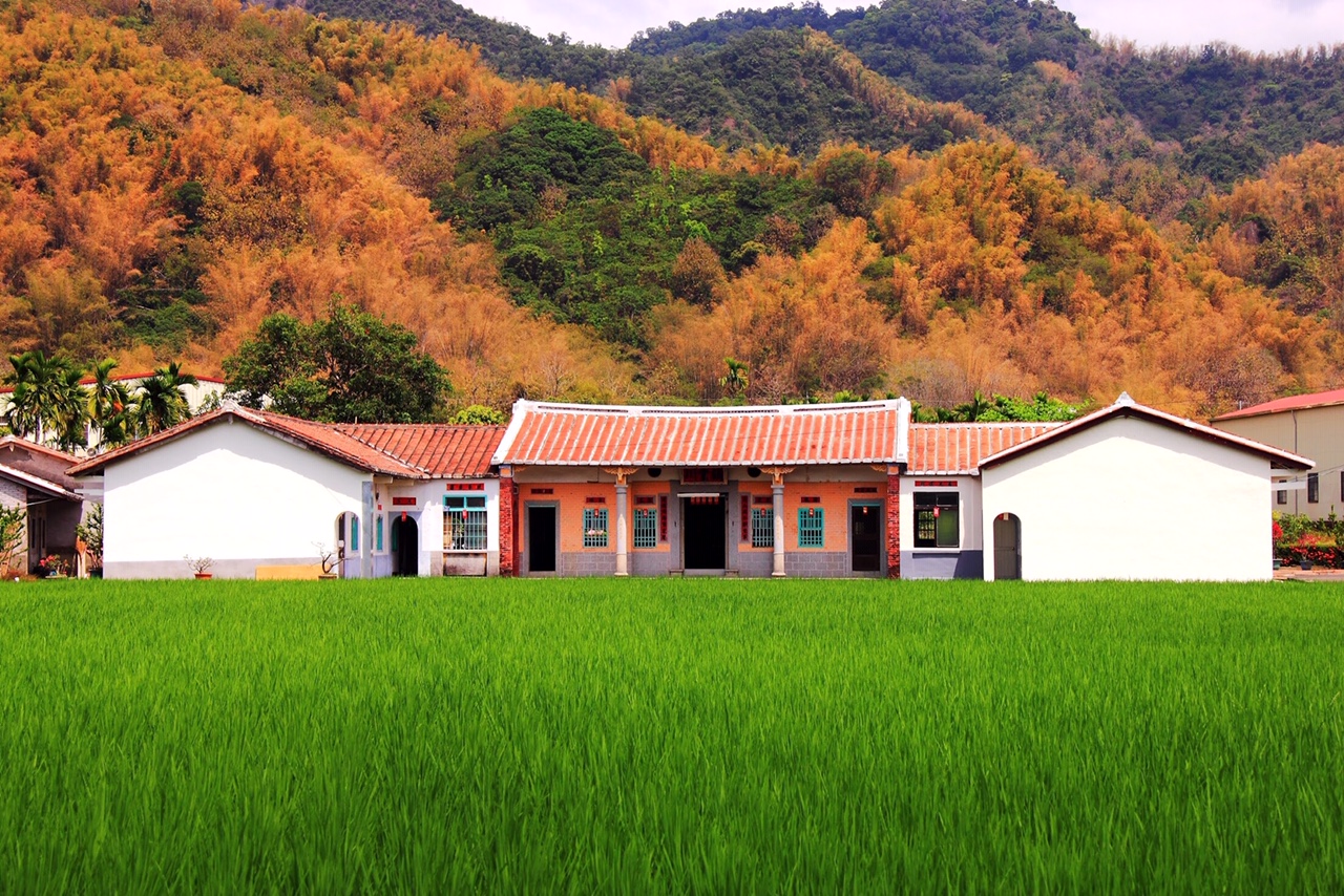 香蕉與黑膠三合院3