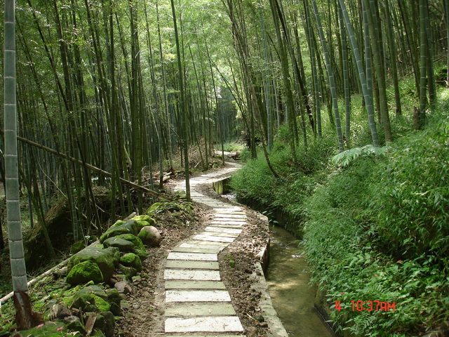 野菜園民宿-2