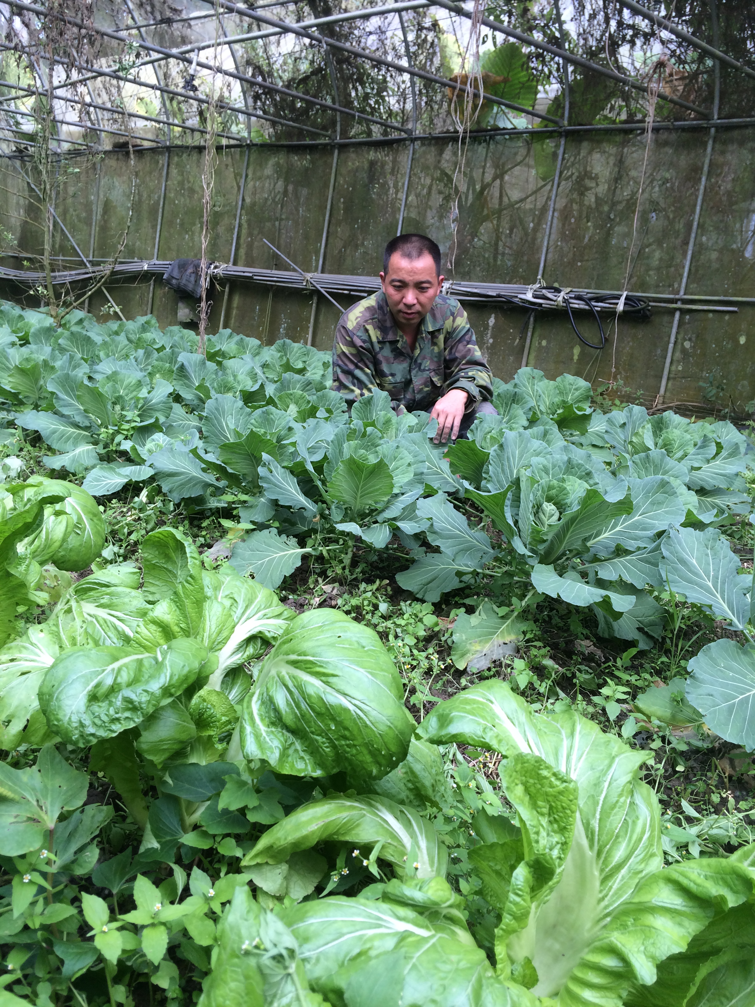 野菜園民宿-3