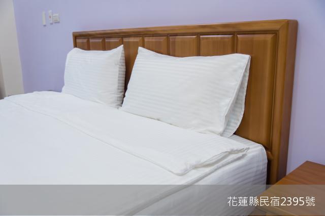 愛麗賓民宿-36