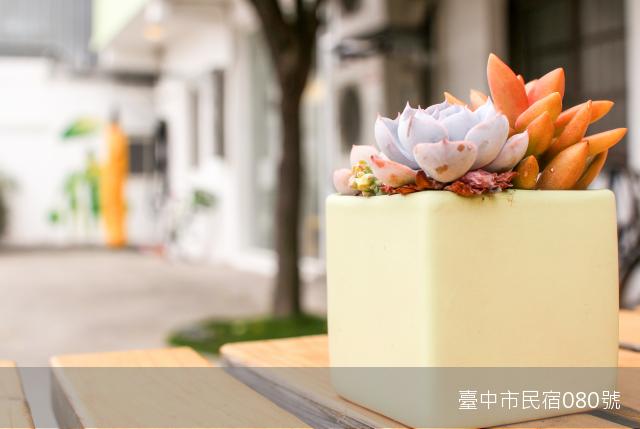 踢生活背包客棧24
