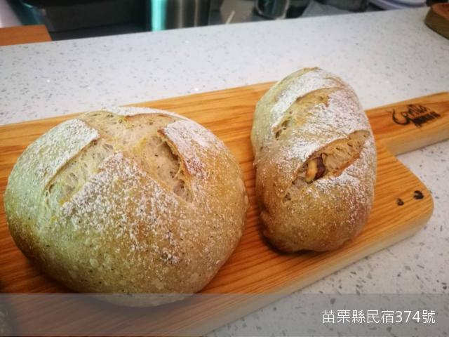 閱微森林16