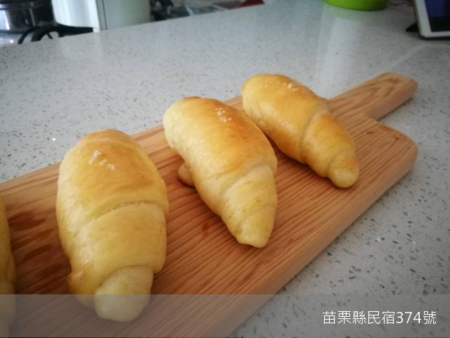 閱微森林19