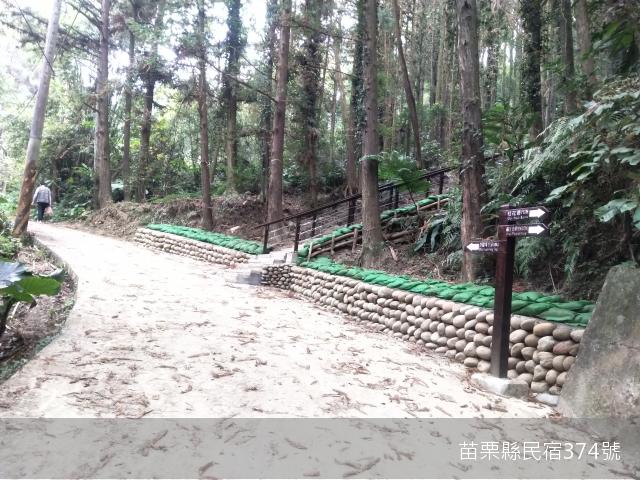 閱微森林22