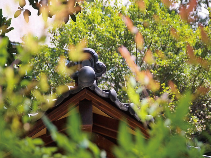 統一谷關渡假村-14