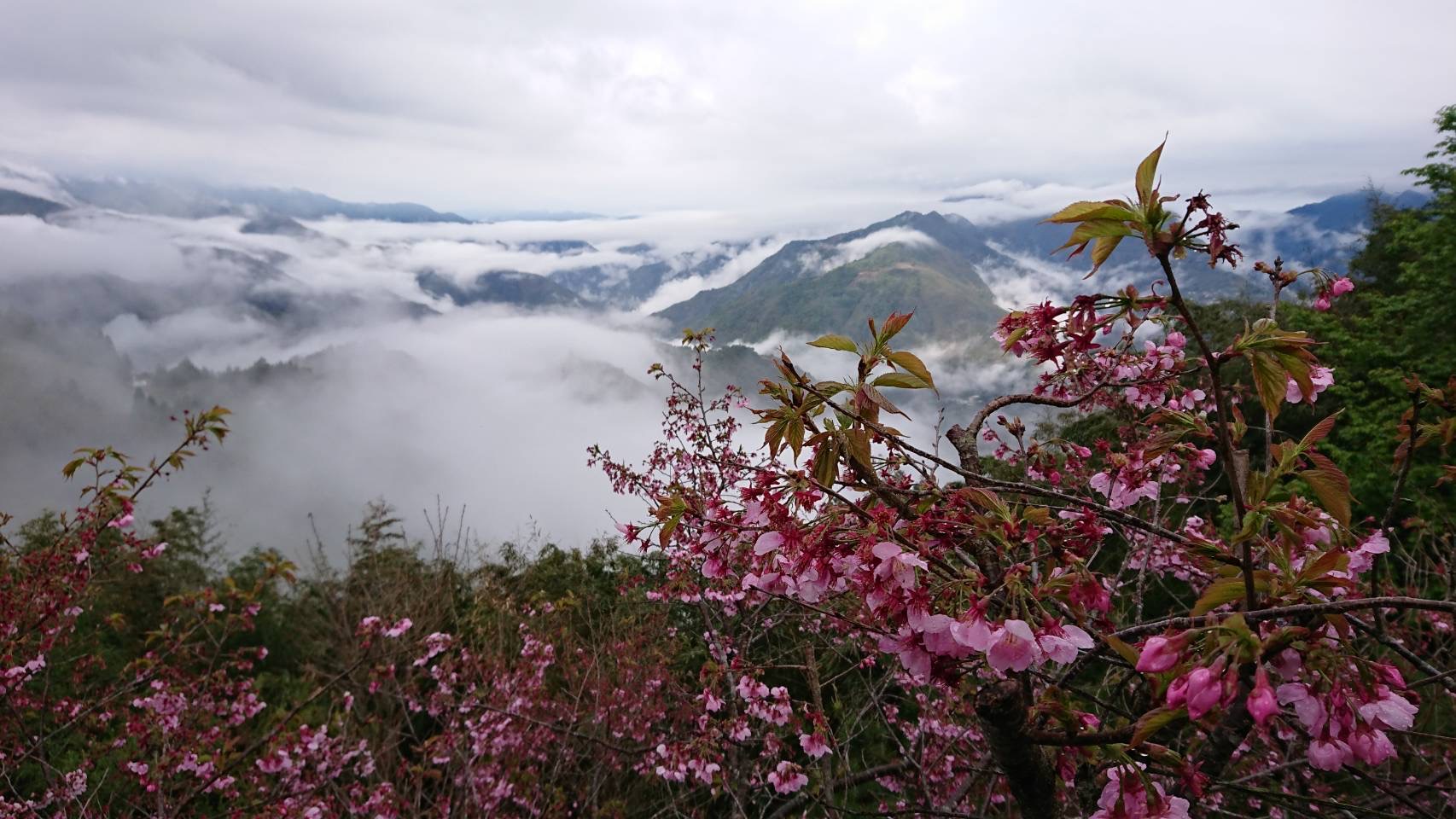 俠雲山莊12