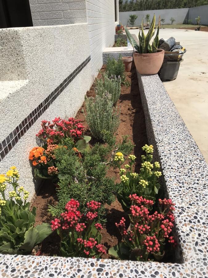 南滬伍柒民宿-3