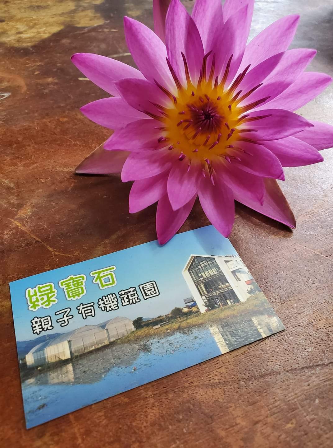 綠寶石休閒農場-2