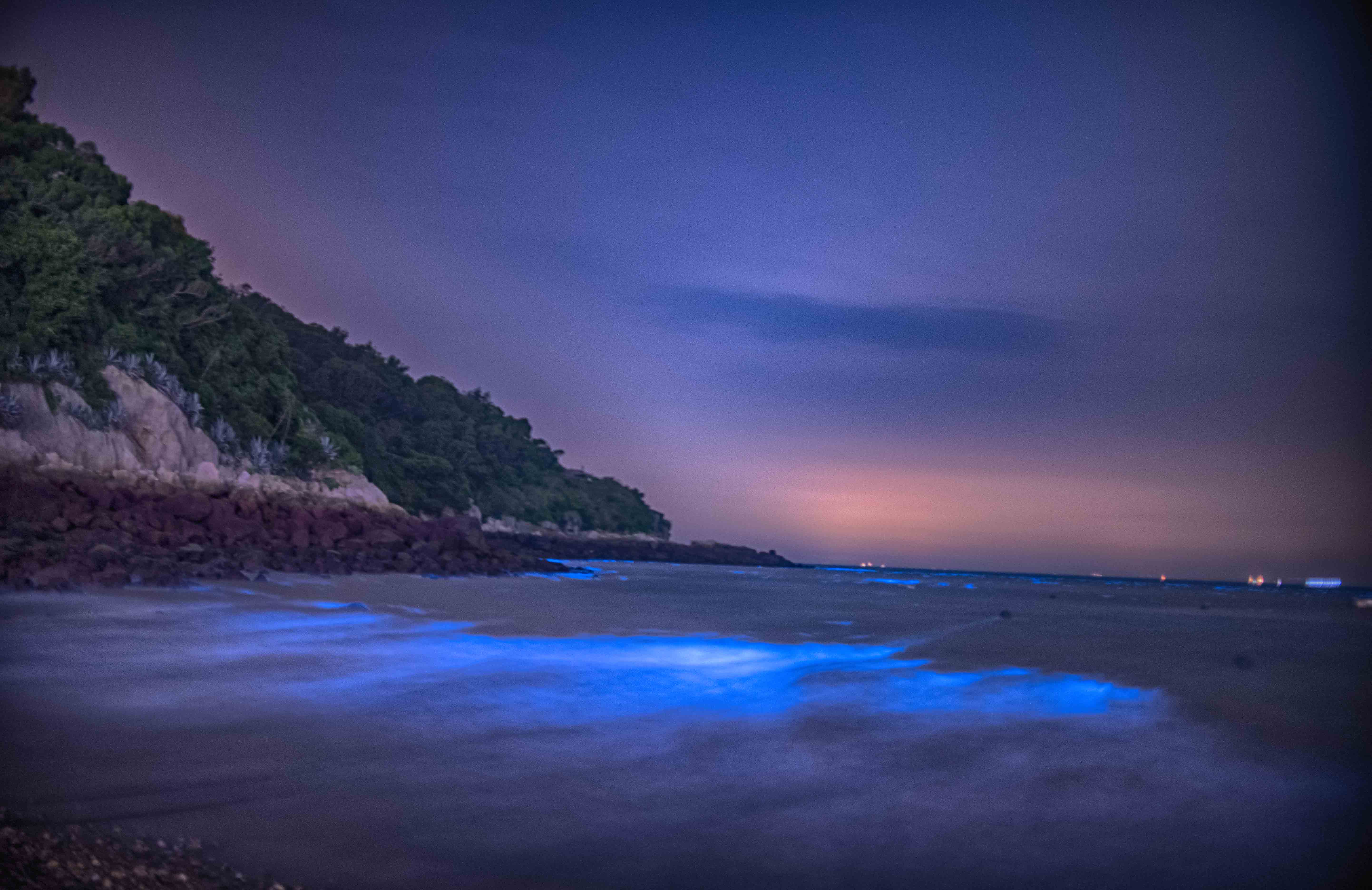 星海芝家6